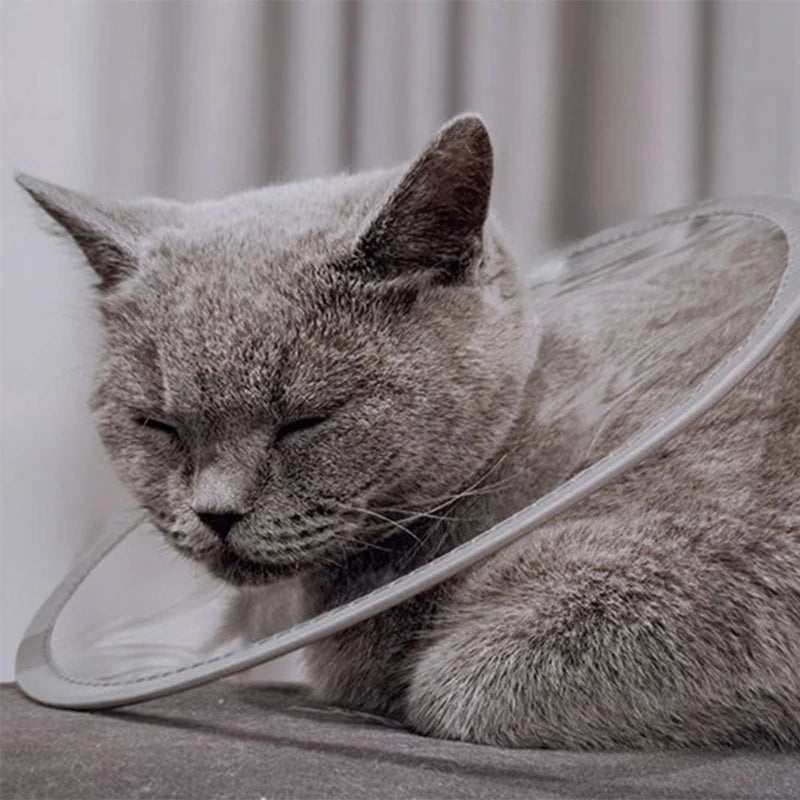 Comfortable Pet Recovery Clear Cone Collar Multiple Sizes Adjustable Recovery Collar Soft For Pet Dog Cats