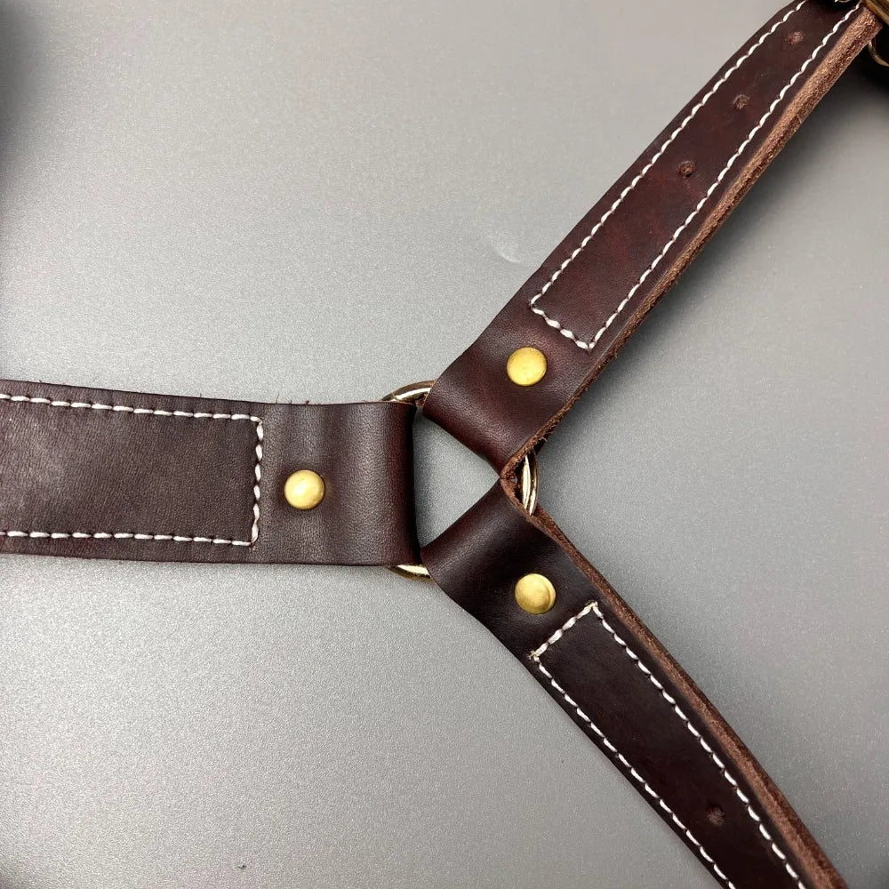 Genuine Leather Y-Shaped Dog Harness Adjustable Neck Chest Pull-Proof, Durable for Large Dogs Handcrafted Full Grain Leather