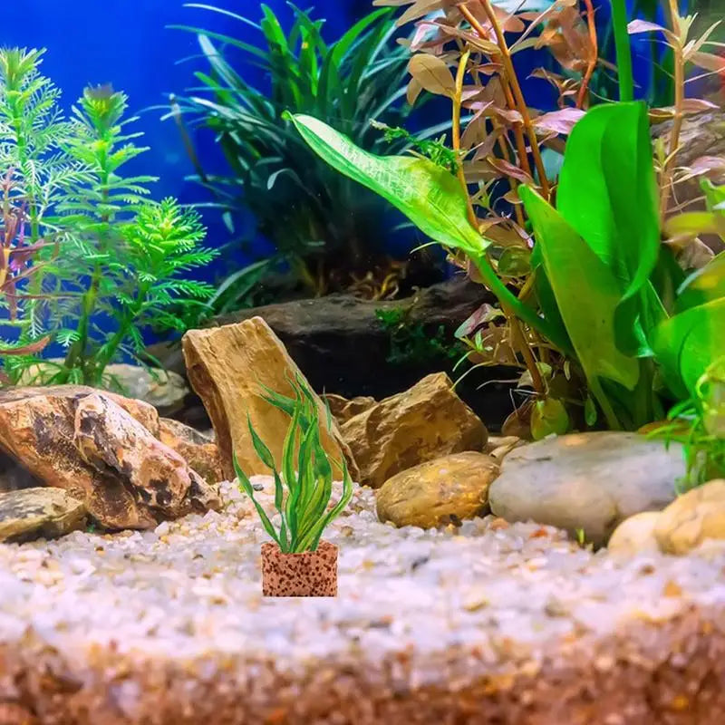 Plant Ring Aquarium Plants l Aquatic Media clay Rings Anti-Floating Aquarium Plant Pot Holder for Aquarium Landscape