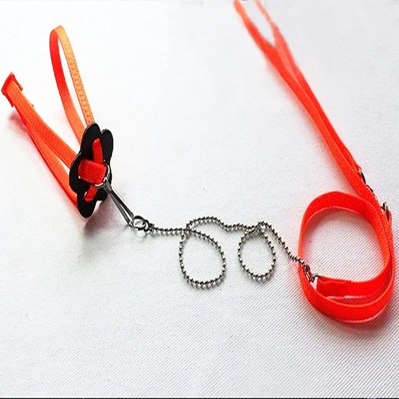 Reptile Leash Lizard Traction Rope Climbing Pet Leash Walking Control Rope For Reptile Amphibians Chain Version Strap Collar