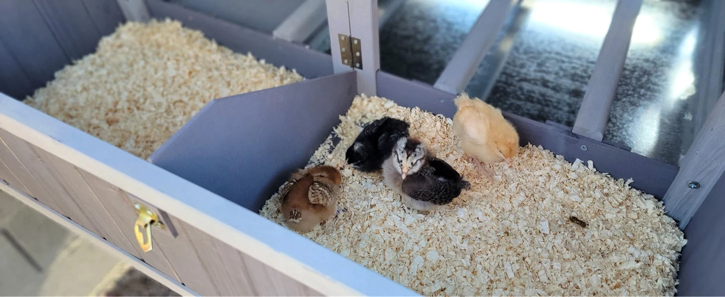 Portable Wooden Chicken Coop with Nesting Box with Sturdy Iron Frame, Durable and Waterproof, Large Upgraded Poultry Cage.