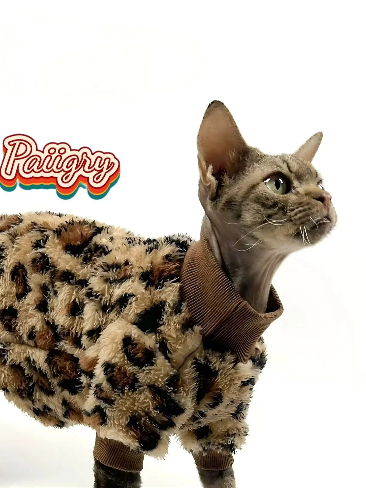 New pet leopard print pattern two-legged clothes cat dog autumn and winter Schnauzer puppy teddy small dog panda clothes sphinx cat