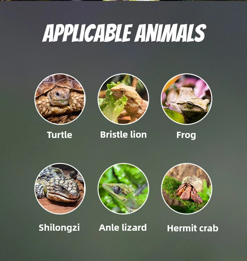 Climbing pet thermometer palace lizard horned frog tortoise reptile feeding box thermometer