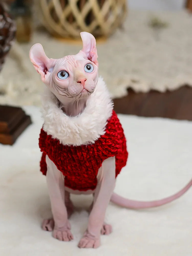 Devon Rex Thickening Plush Coat Cat Sweater Costume Sphinx Clothes Kitten Sphynx Pullover Clothing Products for Winter Outwear