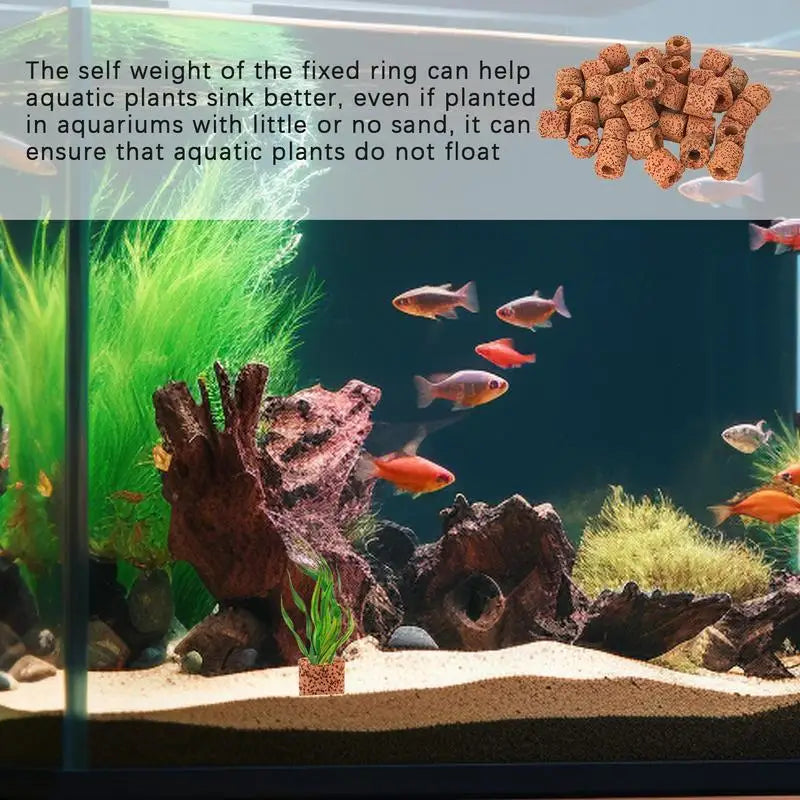 Plant Ring Aquarium Plants l Aquatic Media clay Rings Anti-Floating Aquarium Plant Pot Holder for Aquarium Landscape