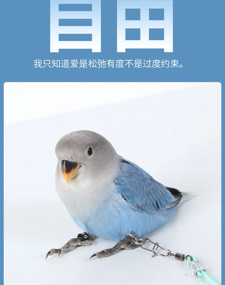 Parrot Bird Flying Training Leash Ultra-light Flexible Rope Anti-bite Leg Ring Harness Outdoor Macaw Cockatiel Starling