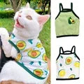 Spring Cotton Pet Cat Clothes for Cats Clothing Sweet Stripe Sphynx Cat Vest Shirt Hairless Cats