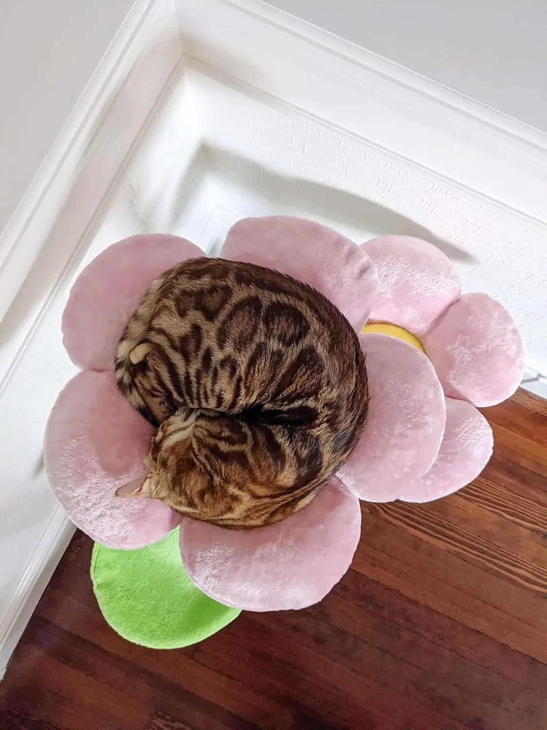 Wood Floral Cat Tree Tower Modern Cat House Furniture Gift Luxury Condo Flower Cherry Blossom