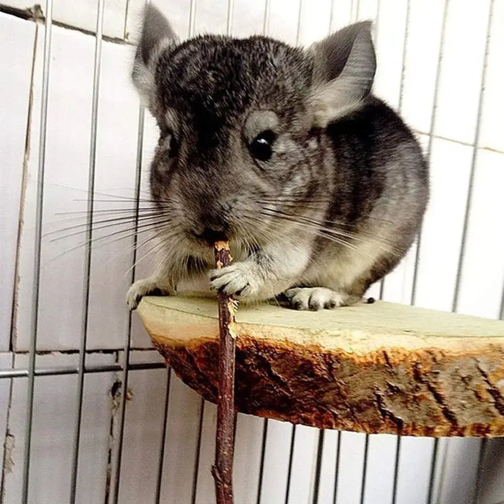20/40/60Pcs Excellent Practical Rabbit Chew Stick Multipurpose Bite-Resistant Apple Tree Branches Bunny Hamsters Chew Toys