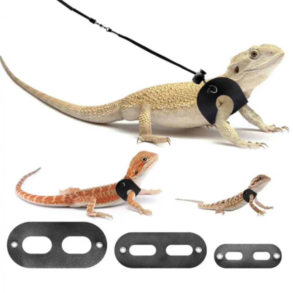 1 Set Lizard Traction Rope Adjustable Soft Reptile Chest Harness Comfortable Pet Reptile Bearded Dragon Harness Pet Supplies