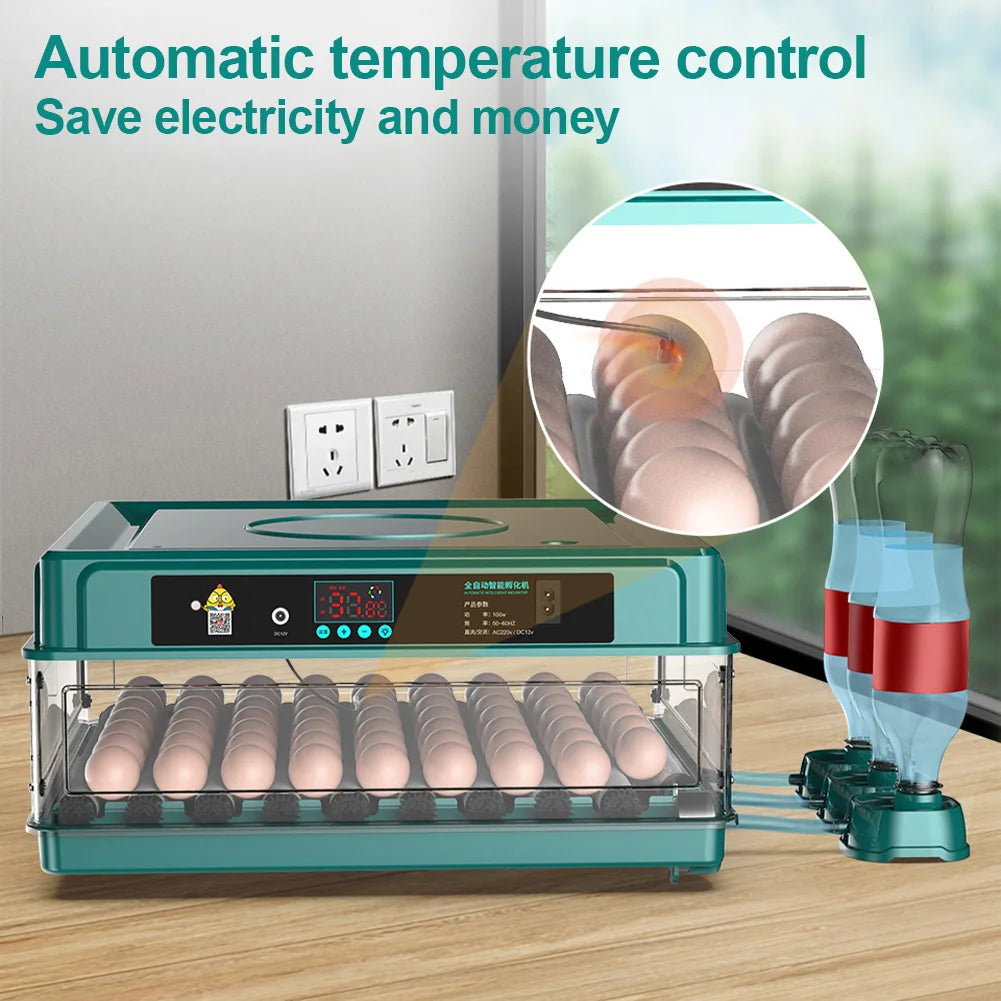 6-12 Eggs Incubator for Chicken Goose Bird Quail Automatic Incubation Equipment Hatchery Incubation Tools EU/US/UK Plug