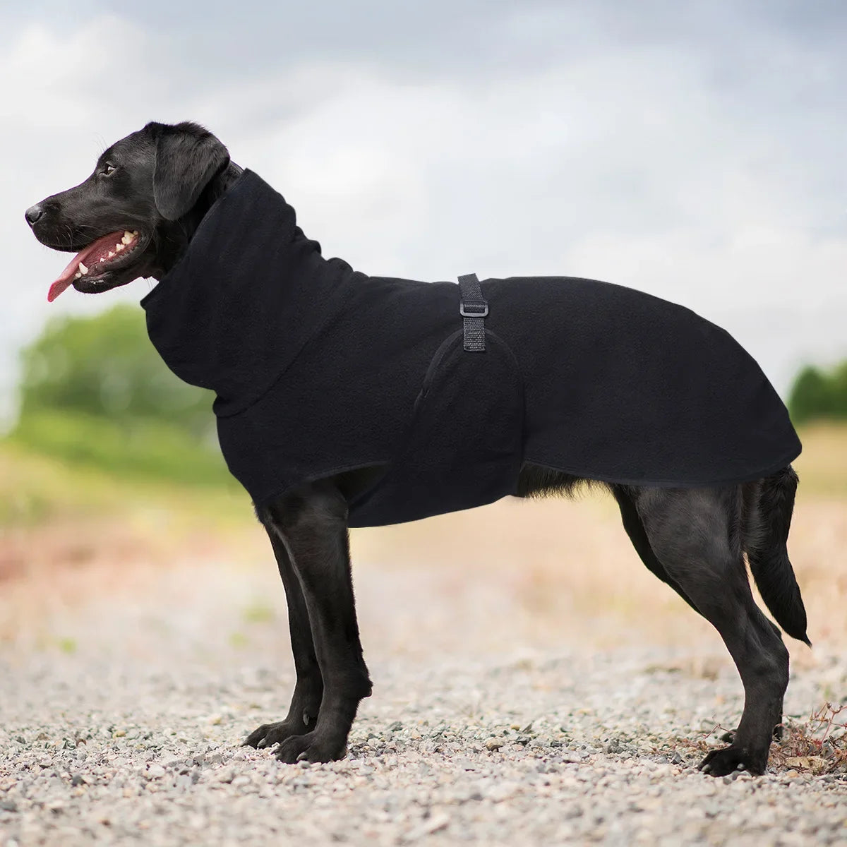 Clothes For Large Dogs Winter Warm Big Dog Vest Jacket Pet Dogs Coat Greyhound Doberman Clothes For Medium Large Dogs