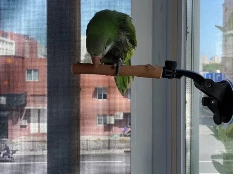 1pc-natural wood bird perch rod, parrot claw grinder rod, bird cage accessories, bird cage claw grinder bracket rod