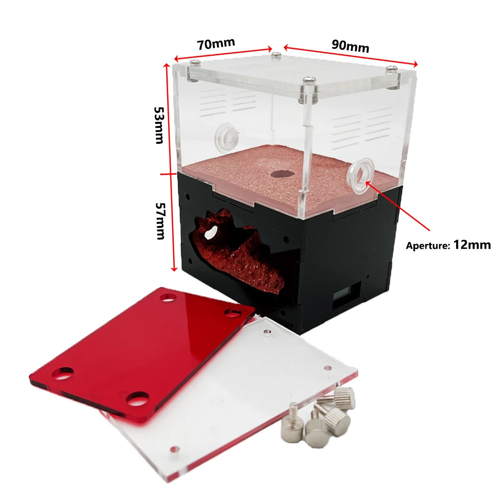 Acrylic Ant Farm Newbie The Concrete Ant Nest With Moisturizing Water Tower Queen Ant Breeding Insect House Anthill Workshop