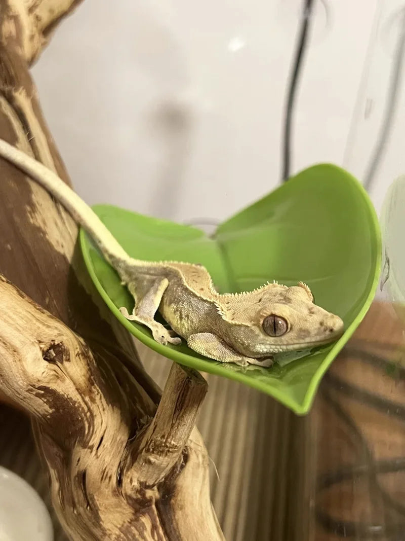 Climbing Pet Suspended Nest with Suction Cup, Simulating Plant Leaves To Avoid Climbing and Habitat, Creating Scenery