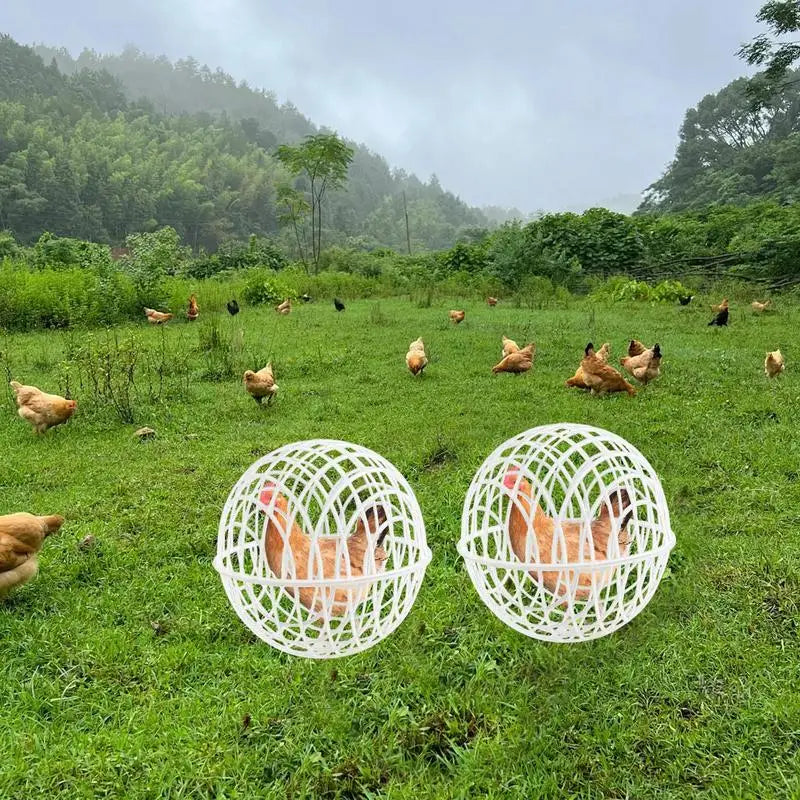 3Pieces Chicken Ball Cage PVC Movable Spherical Chicken Cage Round Rabbit Cage Can Roll And Walk To Feed Free Range Chicken Cage