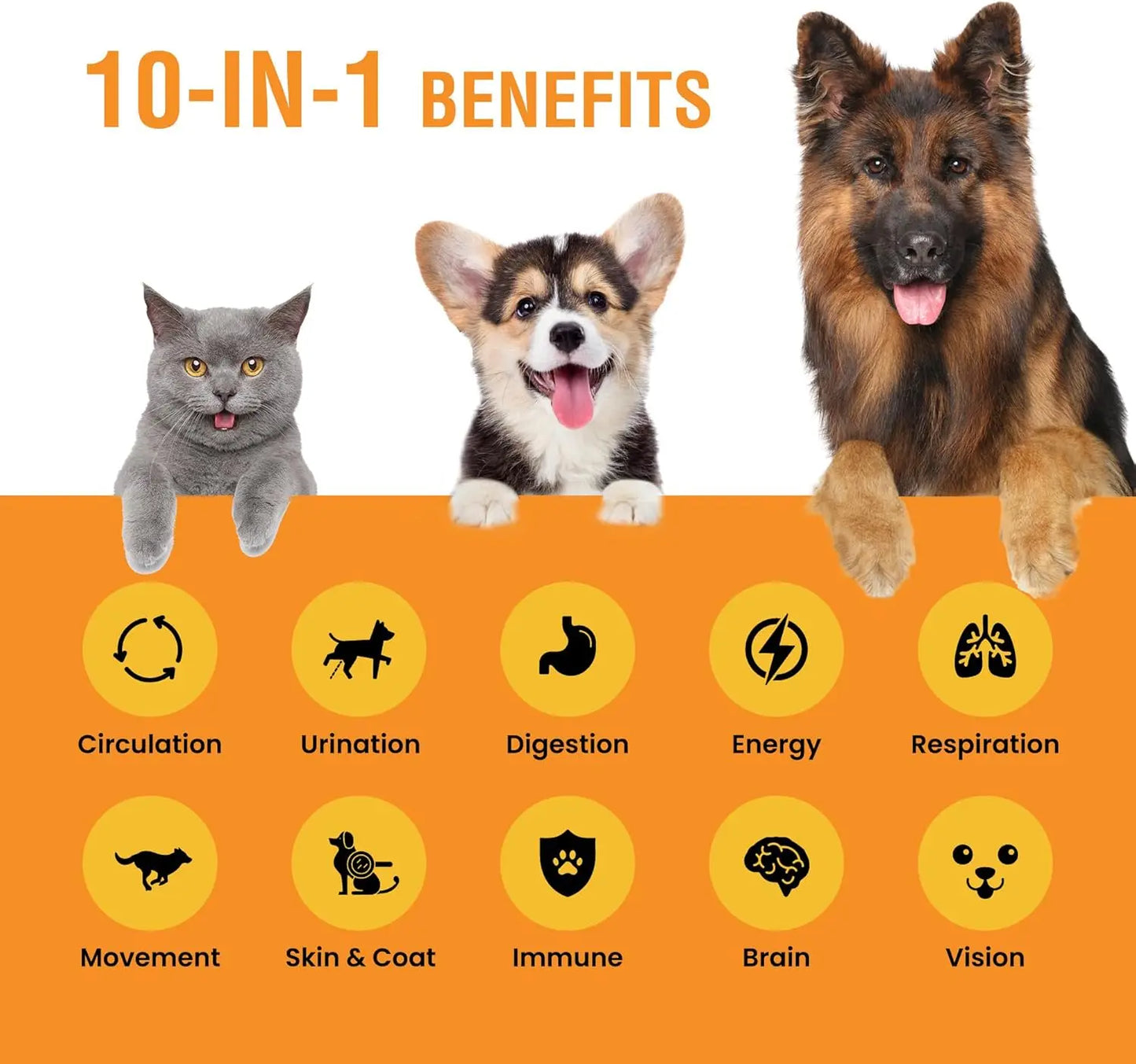 8 Ounce (Pack of 1)10-in-1 Liquid Multivitamin for Dogs and Cats, 8 Ounce Multi Vitamin Supplement, Vitamin for Dogs, Cats,