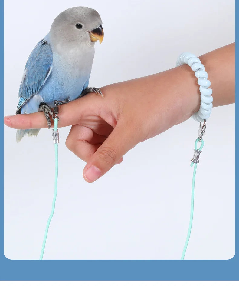 Parrot Bird Flying Training Leash Ultra-light Flexible Rope Anti-bite Leg Ring Harness Outdoor Macaw Cockatiel Starling