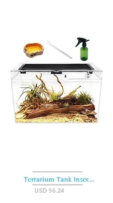 Reptile Terrarium PC Tank Starter Kit 15.6x8x10 inch Anti Breakage Amphibians Habitat Ventilation Kit Starter Accessories