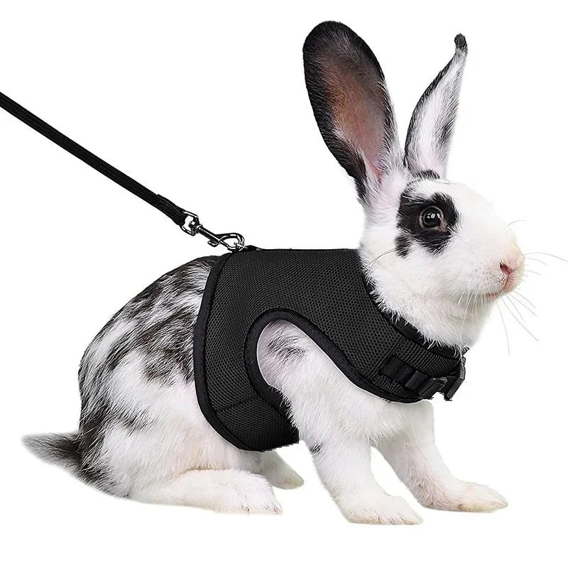 Mesh Breathable Ferret Bunny Harness Leash Set for Small Animals Rabbit Hamsters Summer Walking Pet Lead Pet Accessories