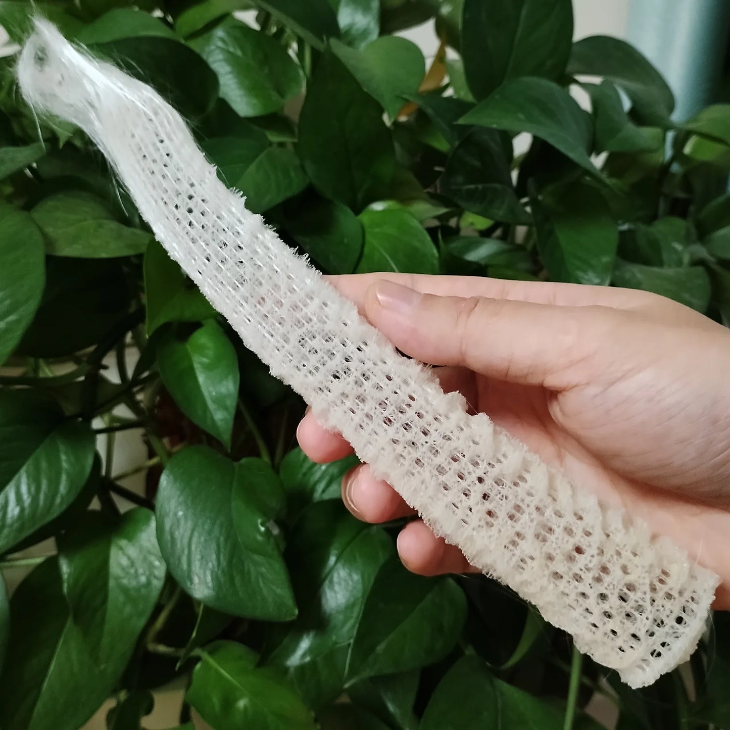1 PC Sea Porifera Sponge, Euplectella Shell Ocean Creatures Venus Flower Basket Conch Collection Aquarium Decoration Landscaping