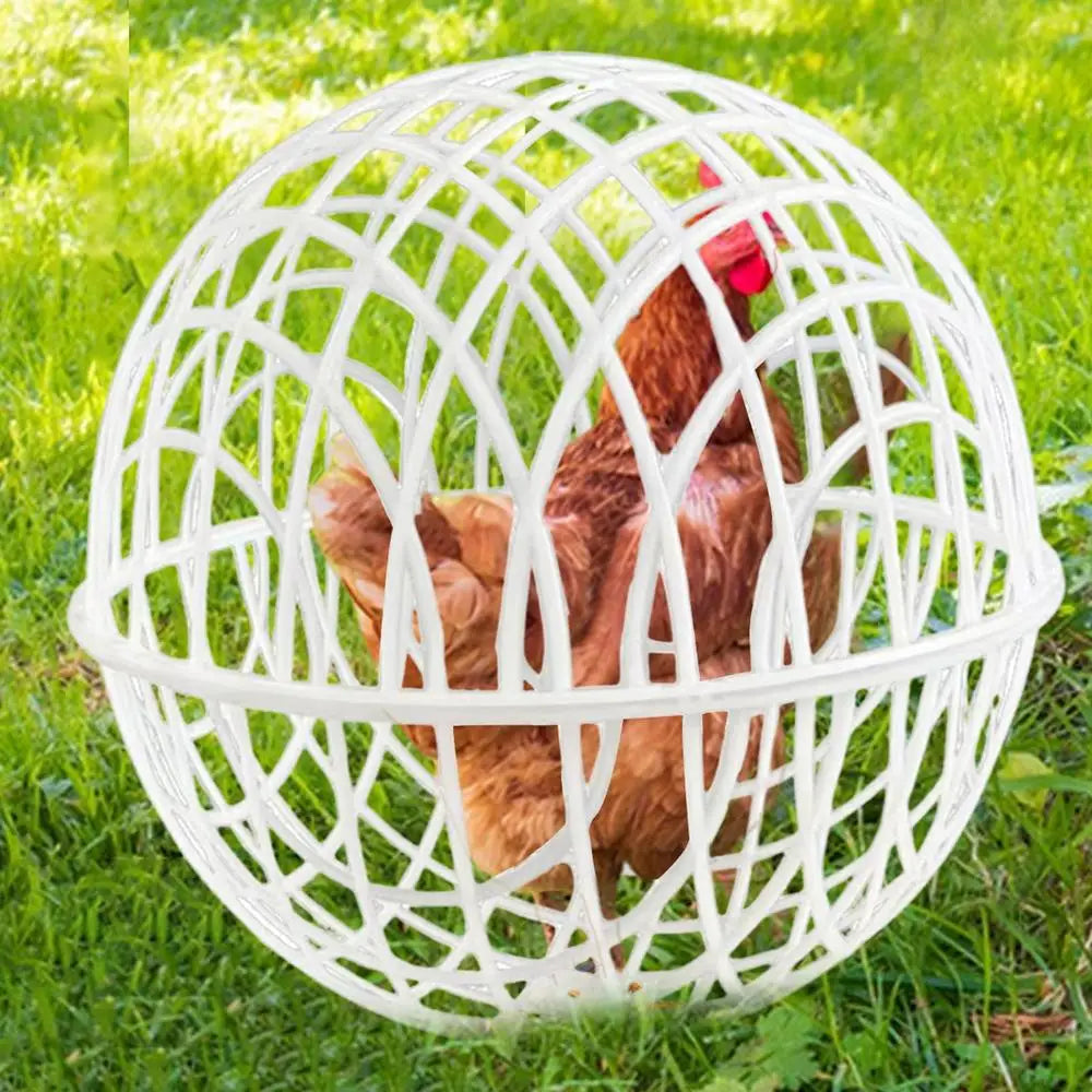 3Pieces Chicken Ball Cage PVC Movable Spherical Chicken Cage Round Rabbit Cage Can Roll And Walk To Feed Free Range Chicken Cage