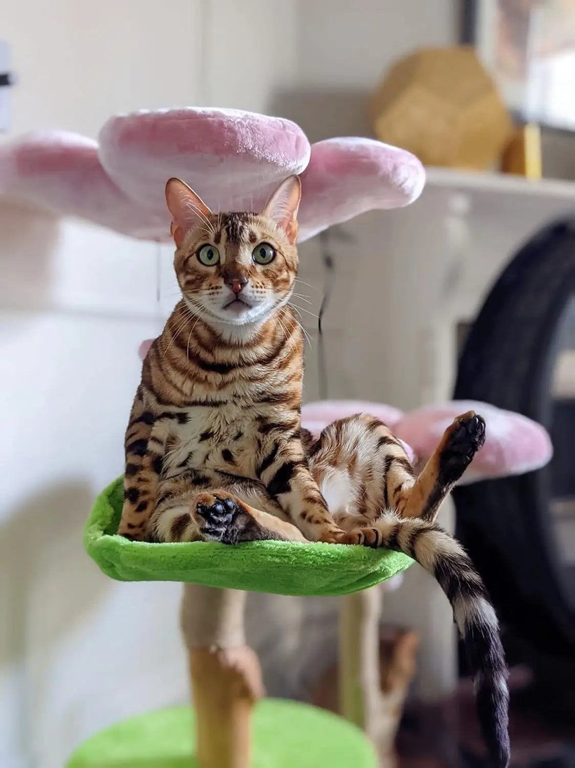 Wood Floral Cat Tree Tower Modern Cat House Furniture Gift Luxury Condo Flower Cherry Blossom