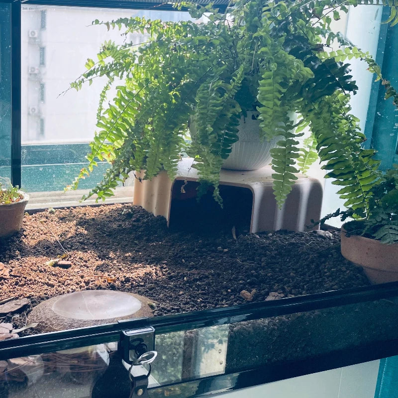 3D Printed Underground Cave Hideouts Shelter for Lizards, Turtles, Spiders, Reptiles Habitat Terrarium Landscaping Decoration