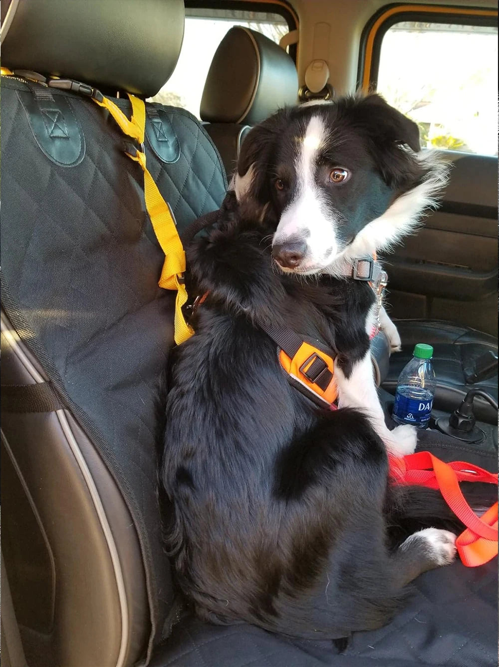 Dog Car Seat Covers 100% Waterproof Pet Cat Dog Carrier Mat Seat Cover for Cars Trucks and SUV Front Seat