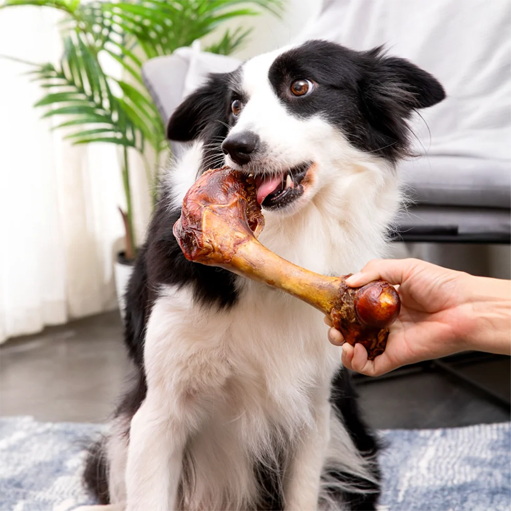 5.29-6.70oz/(150-190g) 6.30in/16cm Large Cow Bone, All Natural Ingredients, Natural Dog Treats, Healthy, Easily Digestible