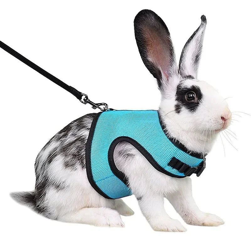 Mesh Breathable Ferret Bunny Harness Leash Set for Small Animals Rabbit Hamsters Summer Walking Pet Lead Pet Accessories