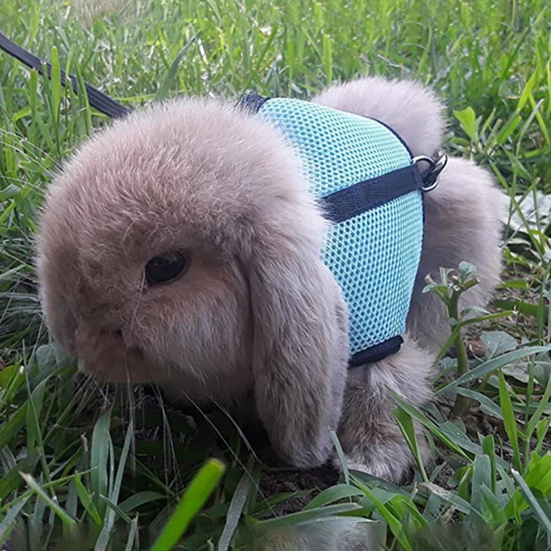 Mesh Breathable Ferret Bunny Harness Leash Set for Small Animals Rabbit Hamsters Summer Walking Pet Lead Pet Accessories