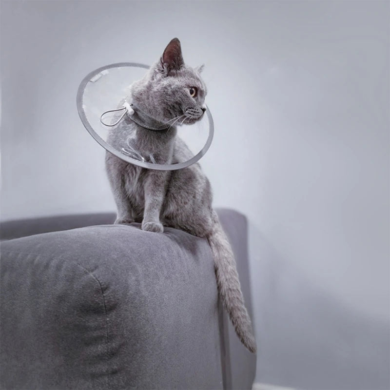 Comfortable Pet Recovery Clear Cone Collar Multiple Sizes Adjustable Recovery Collar Soft For Pet Dog Cats