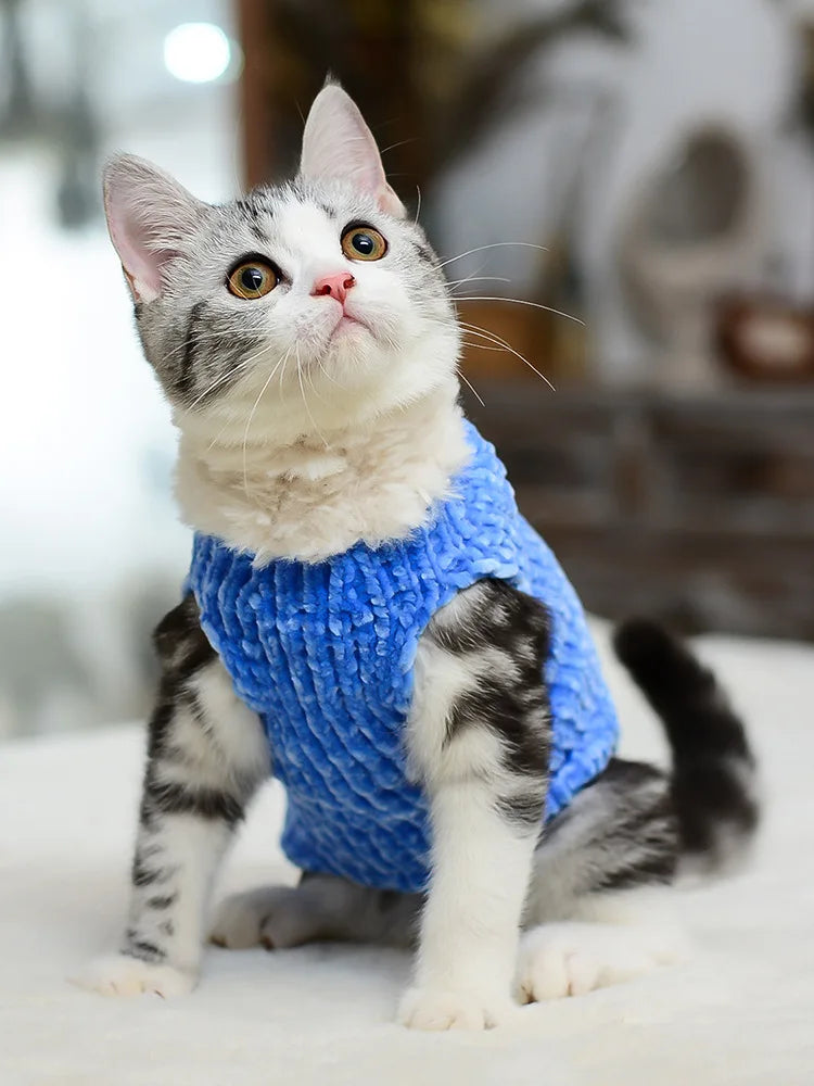 Devon Rex Thickening Plush Coat Cat Sweater Costume Sphinx Clothes Kitten Sphynx Pullover Clothing Products for Winter Outwear