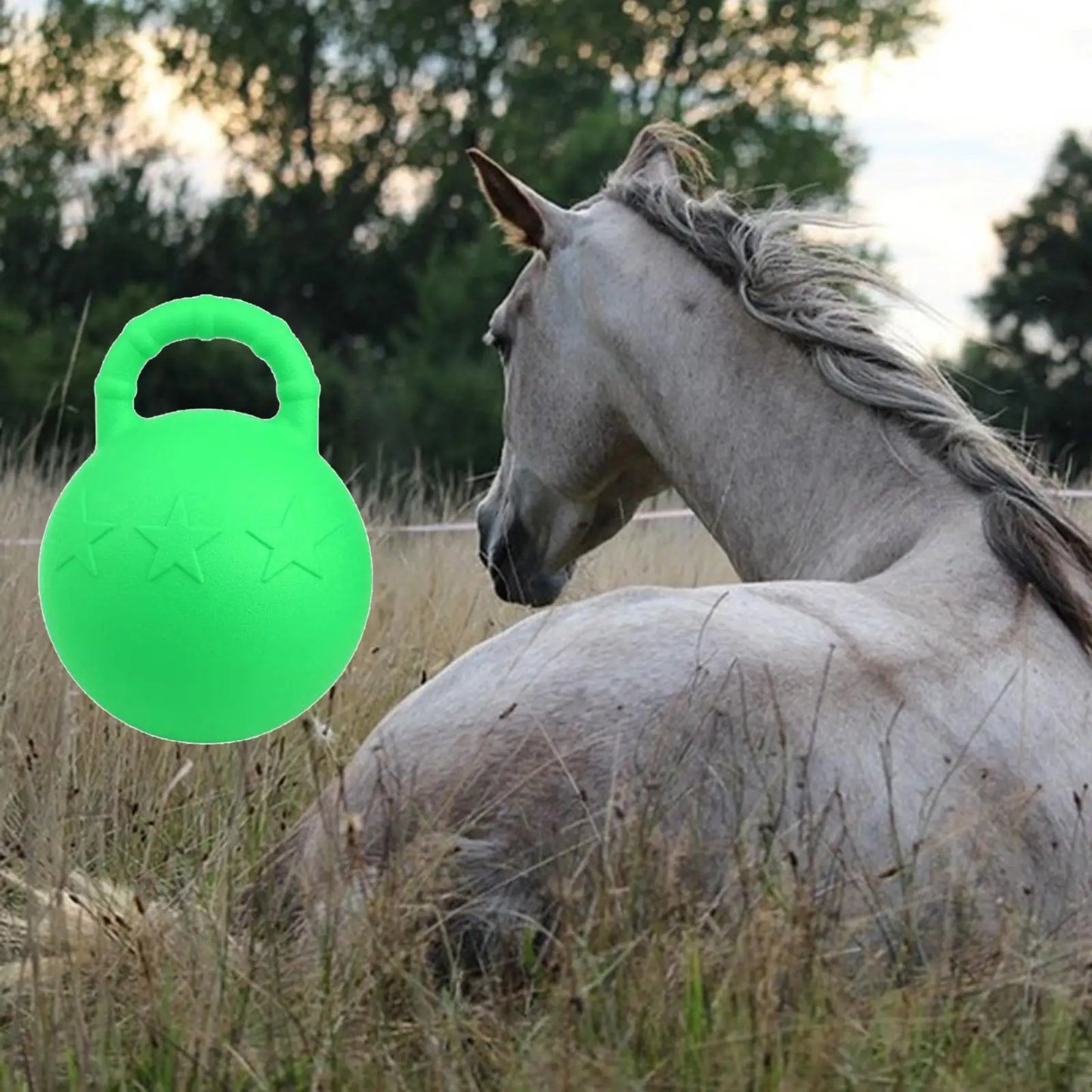 High Quality Rubber Equine Play Ball Dogs Toy Ball Horse Ball for Training Horses, Play Accessories