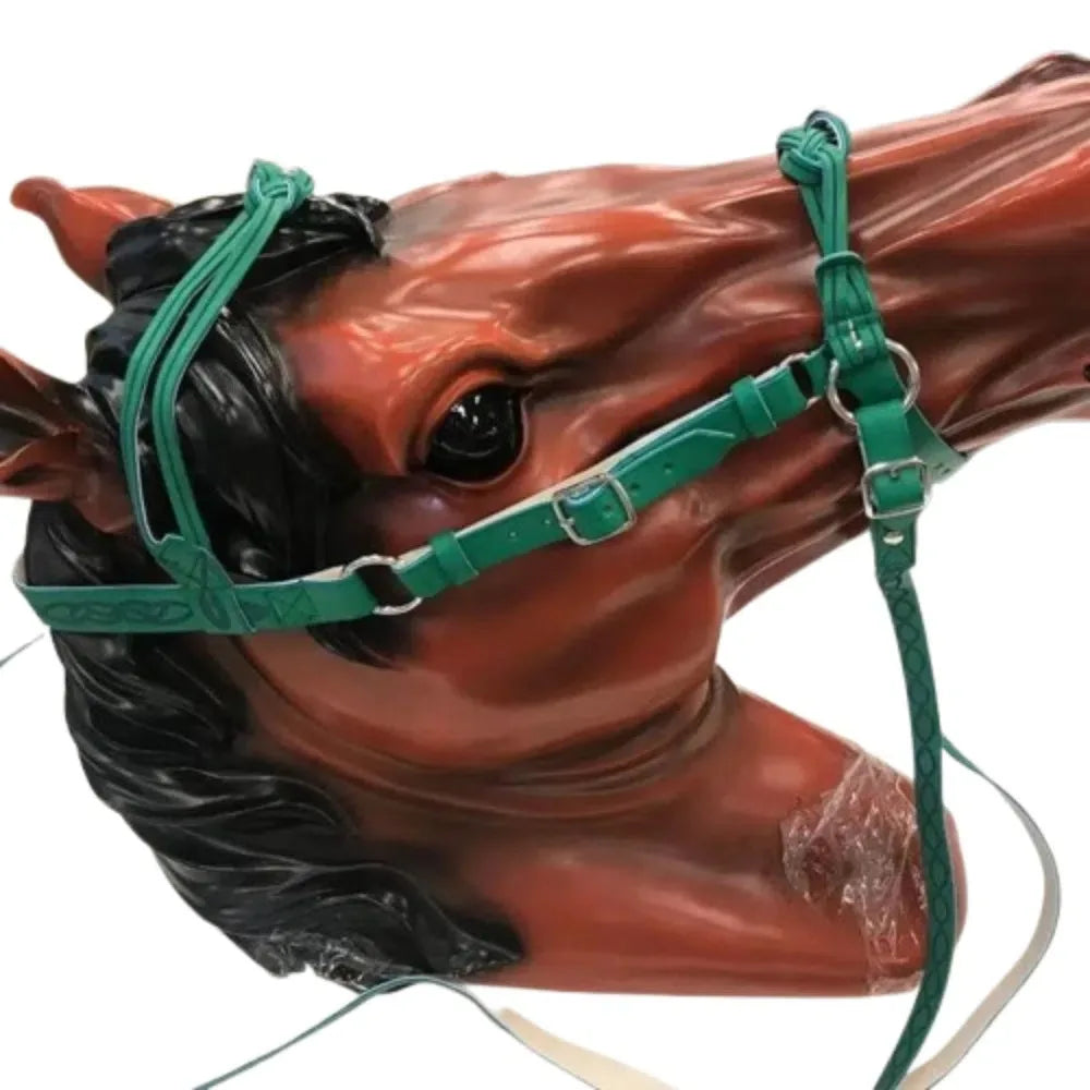 PU Leather Horses Bridle Halters Comfortable Metal Buckles Horse Reins Durable Adjustable Horse Head Stall
