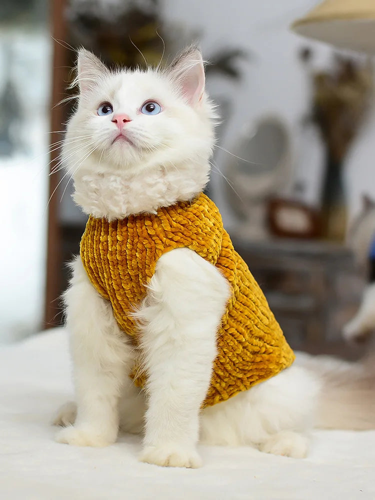 Devon Rex Thickening Plush Coat Cat Sweater Costume Sphinx Clothes Kitten Sphynx Pullover Clothing Products for Winter Outwear