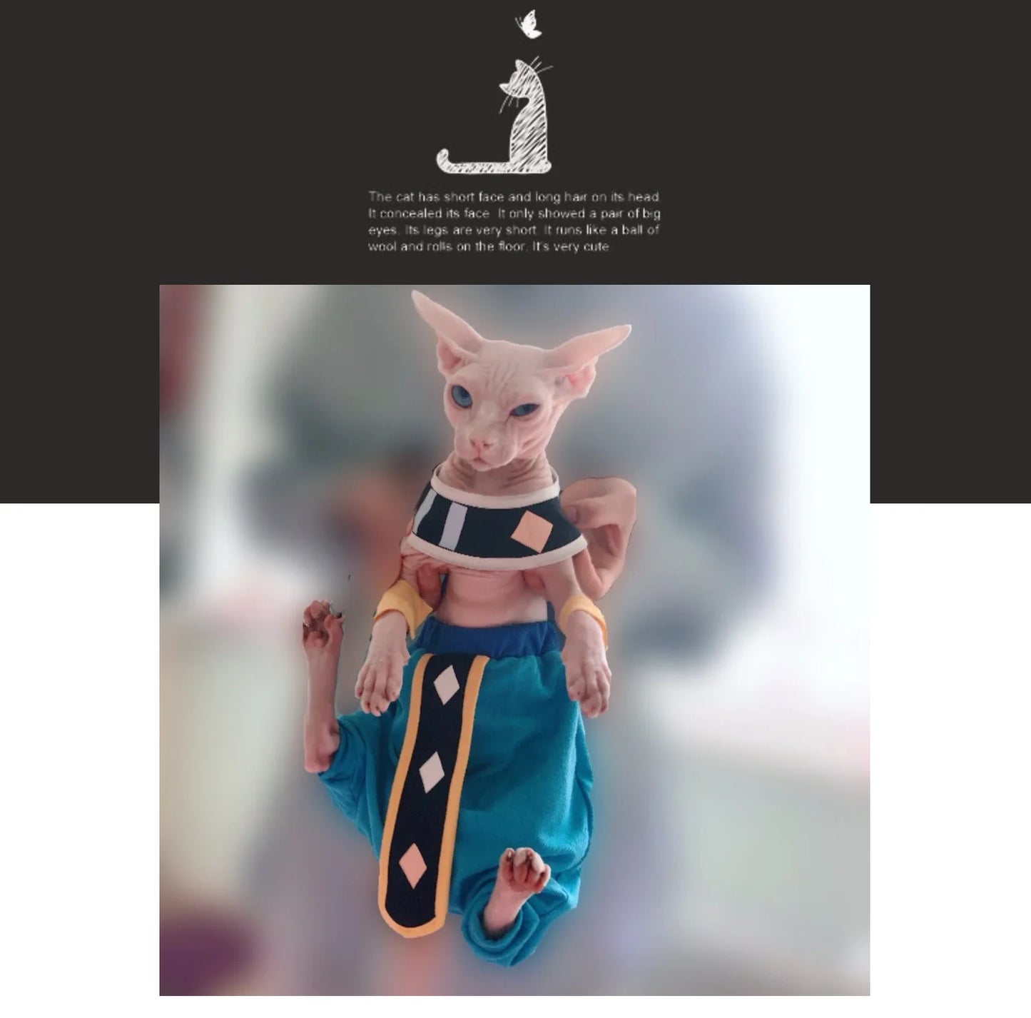Handmade Sphinx Cosplay Cat Costumes Hairless Cat Clothes Cats Costumes Crotch-Proof Trousers Cat Clothes