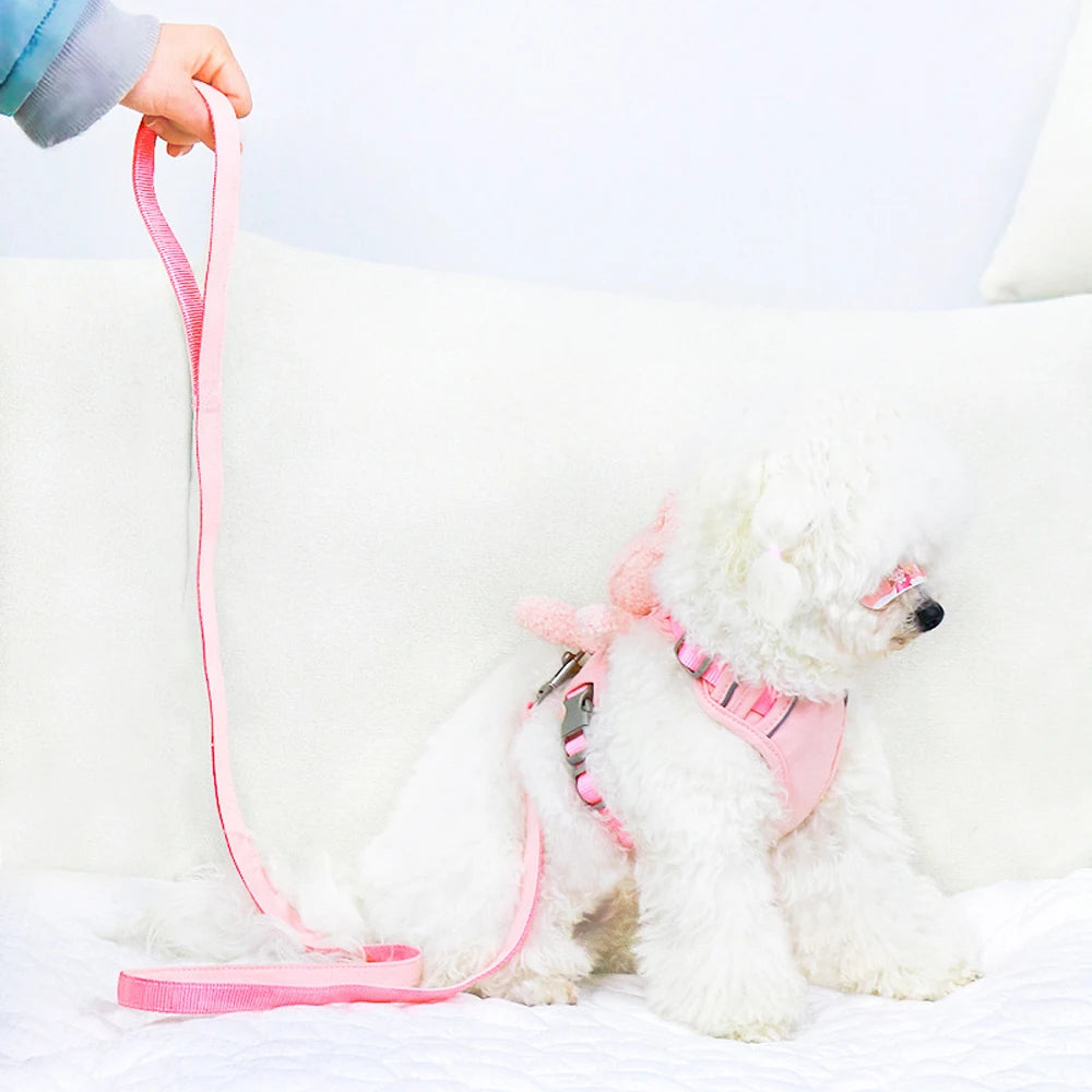 Monochromatic Pet Vest, Harness and Leash Set, Pocket Bear, Clothes for Chihuahua, Yorkie, Walking, Training, Cat, Dog Chain