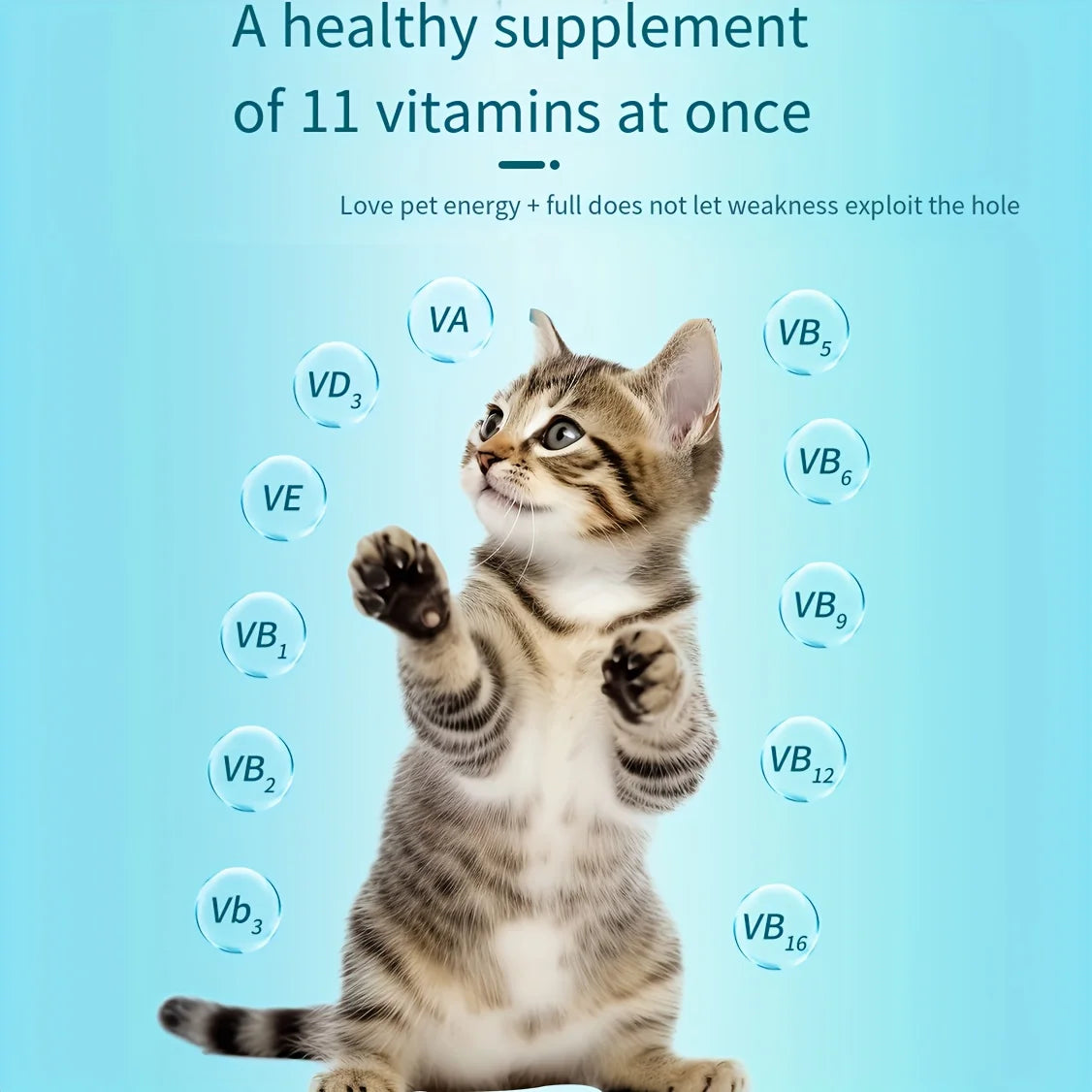 3-Pack(3 x 200 Count) - 600 Count - Dog and Cats 11 In 1 Multivitamin, Vitamins and Supplements, Senior