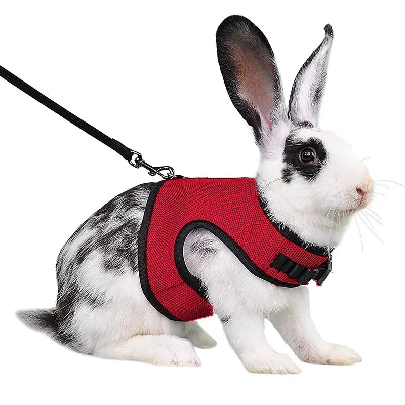 Mesh Breathable Ferret Bunny Harness Leash Set for Small Animals Rabbit Hamsters Summer Walking Pet Lead Pet Accessories