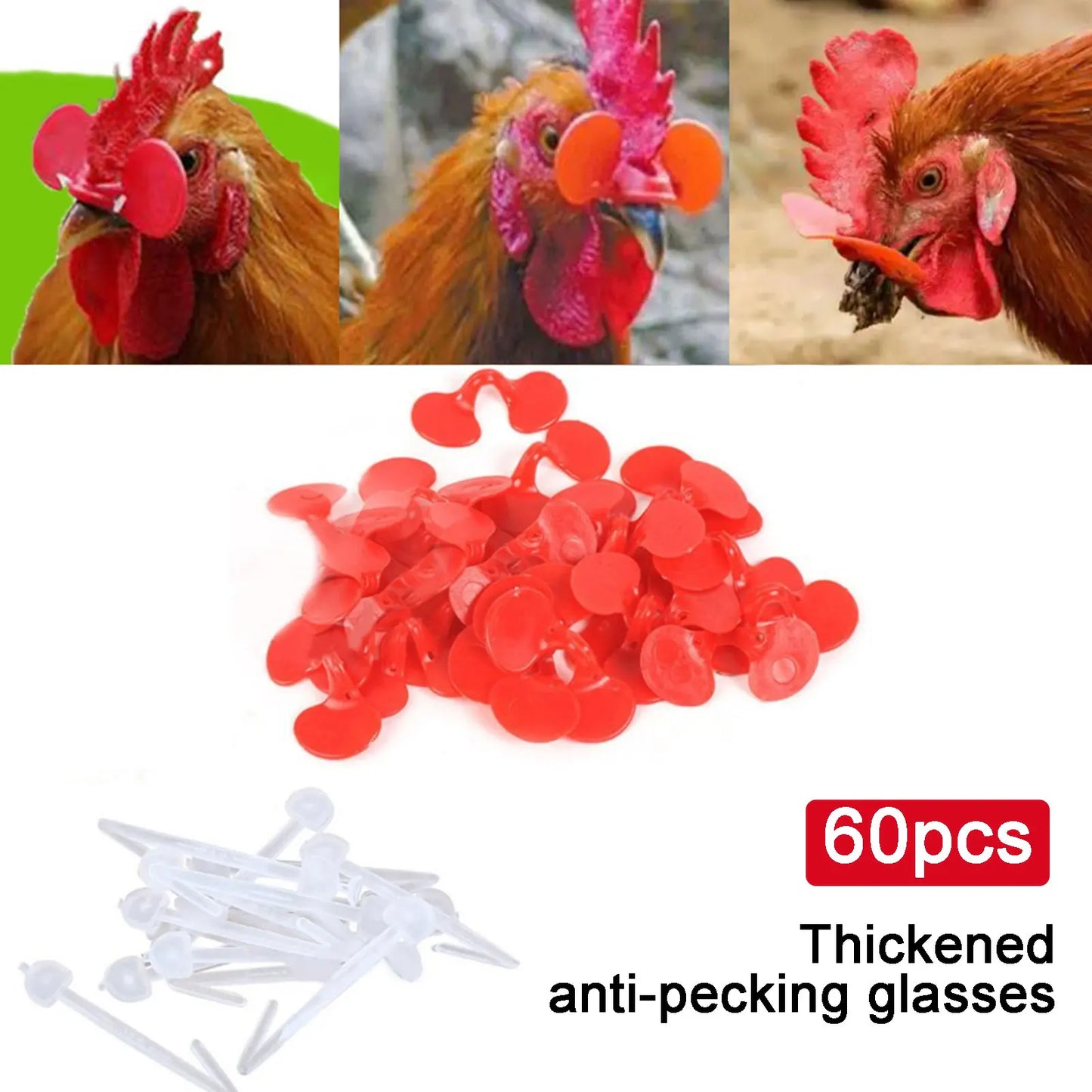 60 Pieces Pinless Chicken Anti-Pecking Chicken Supplies With Bolt Anti-fight Pheasant Poultry Spectacles Blinders