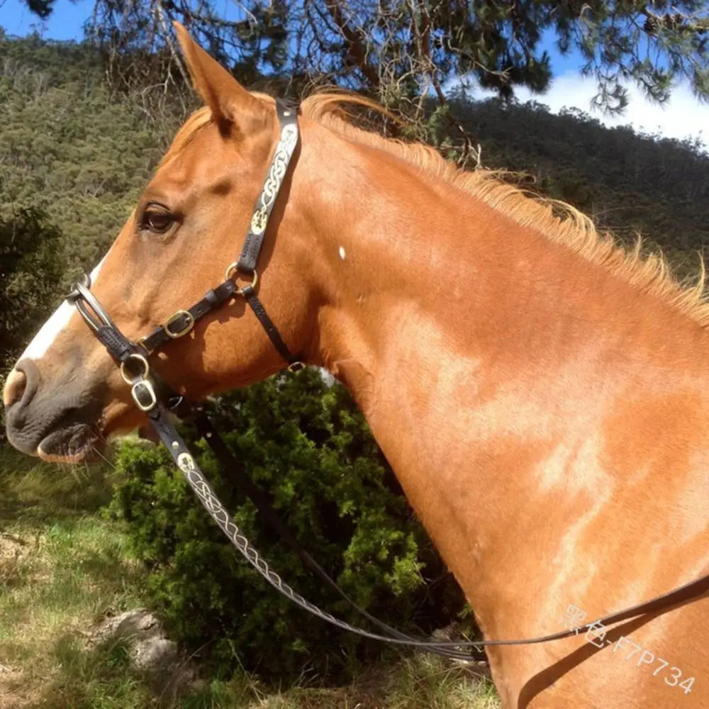 PU Leather Horses Bridle Halters Comfortable Metal Buckles Horse Reins Durable Adjustable Horse Head Stall