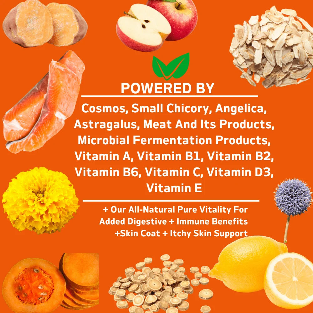 360 Chews - 3 Pack (3 x 180g/6.35oz) 540g/19.1oz - TenderTouch Multivitamin Dog Supplement, Digestive Enzymes, Grain Free Dog Supplement