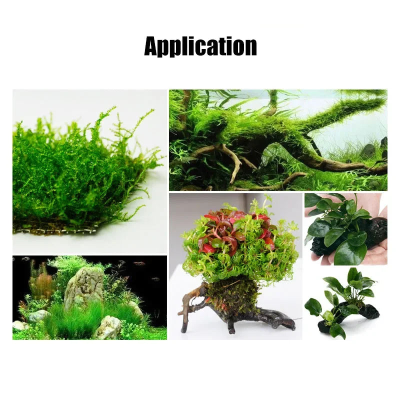 Fish Tank Plant Moss Tree Landscaping Decoration Wood Plant Root Driftwood Aquatic Plants Grass Aquarium Accessories (No Moss)
