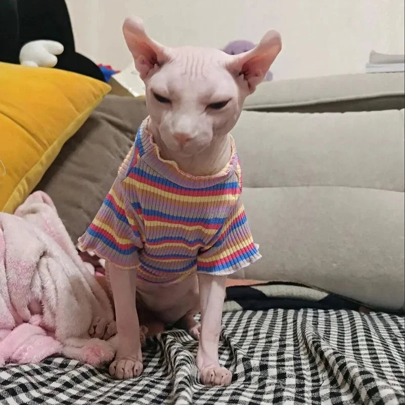 Spring Cotton Pet Cat Clothes for Cats Clothing Sweet Stripe Sphynx Cat Vest Shirt Hairless Cats