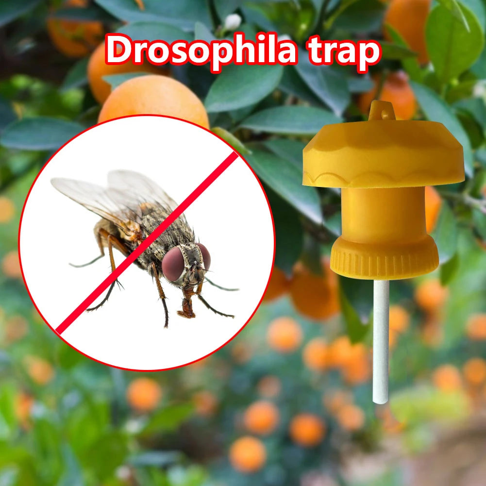 1-20PCS Fruit Killer Plastic Yellow Drosophila Trap Fly Trap Killer Cover Fly Catcher Pest Insect Control For Home Farm