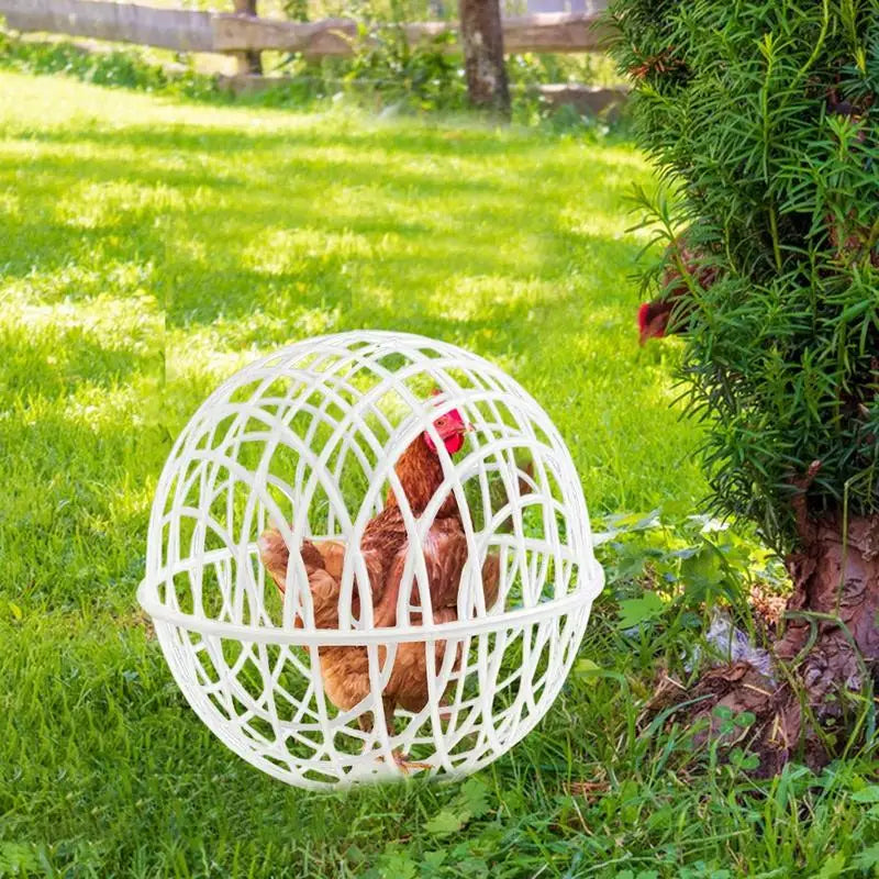 3Pieces Chicken Ball Cage PVC Movable Spherical Chicken Cage Round Rabbit Cage Can Roll And Walk To Feed Free Range Chicken Cage