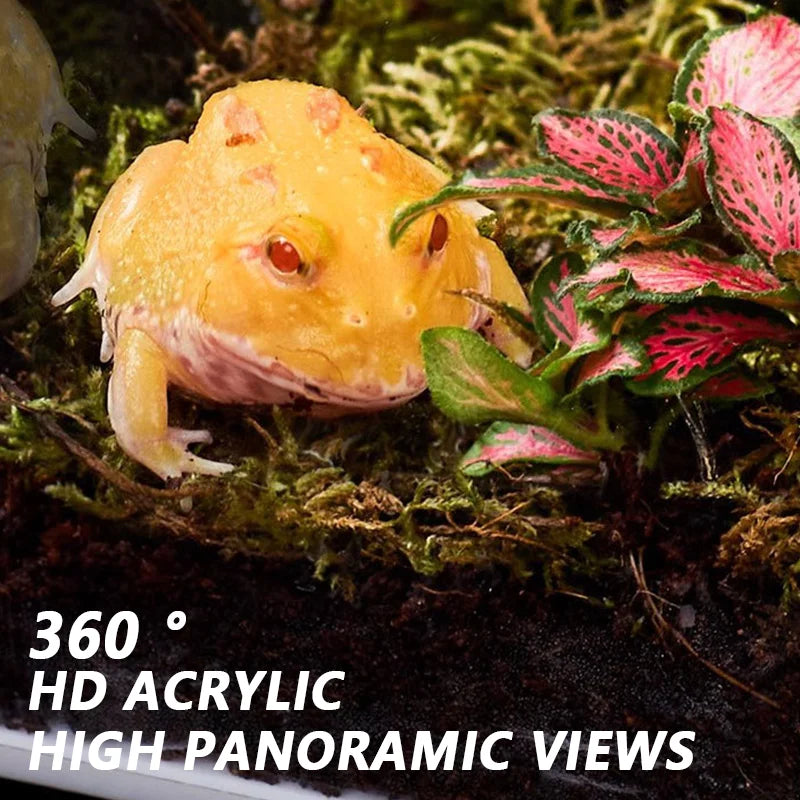 Reptile Anti-Escape Breeding Box Acrylic Transparent Breathable Amphibian Tank for Turtle Spider Lizard Snake Frog Reptiles Cage