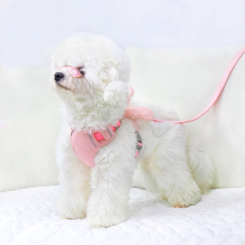 Monochromatic Pet Vest, Harness and Leash Set, Pocket Bear, Clothes for Chihuahua, Yorkie, Walking, Training, Cat, Dog Chain